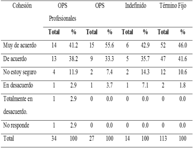 Percepción de la dimensión cohesión