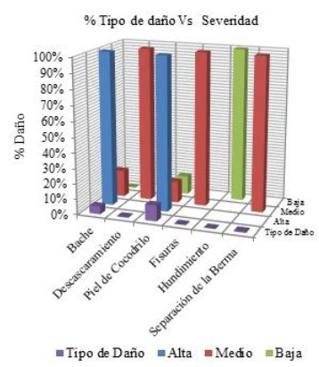   % Tipo de daño según su nivel de severidad.