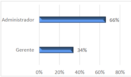 Cargo que Desempeña actualmente en la organización