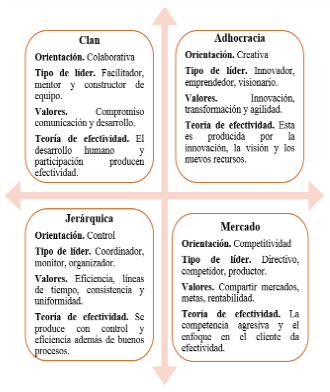 Caracterización de cada tipo de cultura