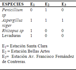 Distribución  de  género  de  hongos identificados en cada estación de muestreo.