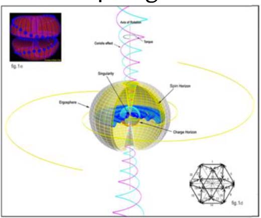 Modelo esquemático da membrana topológica toroidal