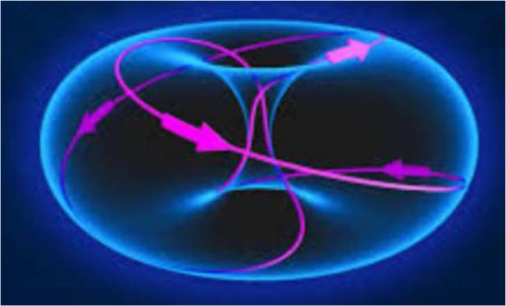  “Em todas as escalas da natureza e do cosmos, podemos encontrar a assinatura energética de um processo de fluxo dinâmico na forma do que é chamado de torus”
