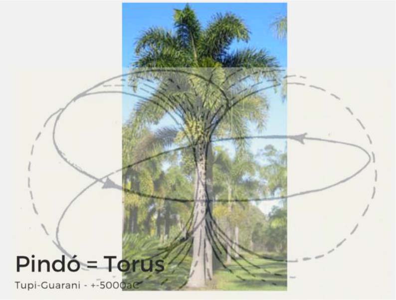 montagem do Jerivá com Torus