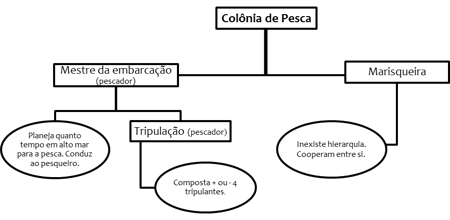 Figura 2 - Sistema de organização local de
pescadores e marisqueiras de Arembepe (Camaçari-Bahia)