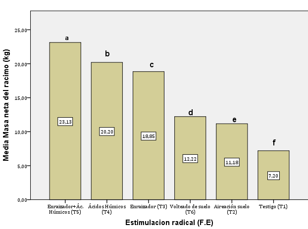 Efecto
de la estimulación radical en la masa del neta de banano.