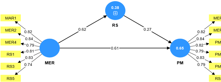Cargas de los constructos