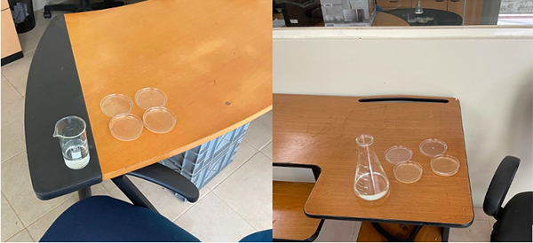 Se observan la
ubicación de los recipientes con la solución desinfectante y junto a estos, se
situaron las placas con los medios de cultivo para la recuperación de bacterias
y hongos