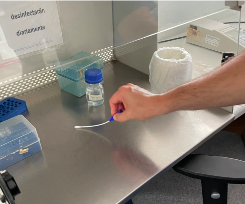 Toma de
muestra de la superficie de la cámara de flujo laminar del laboratorio de
Patología, FIMCM-ESPOL