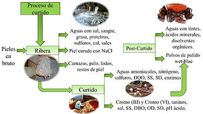 Etapas
del Curtido de Cuero y Residuos Generados