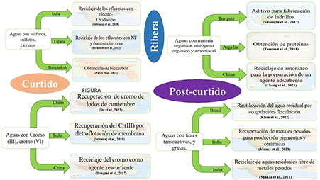 Procesos
de Reciclaje de Efluentes de las Etapas de Curtido de Cuero.