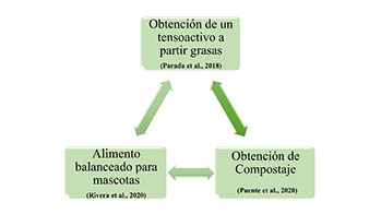 Reciclaje
de Residuos Provenientes de Curtiembres en Ecuador
