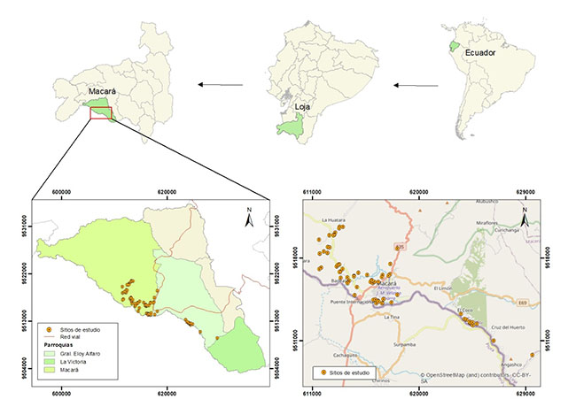 Zona de estudio: Distribución espacial de
los productores de arroz sur del Ecuador