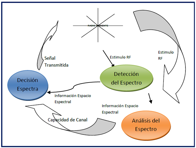 Ciclo cognitivo