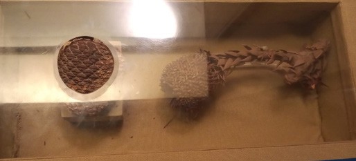 Sintagma 2 Evolución del planeta Tierra