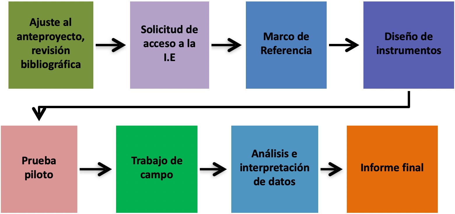  Figura 1