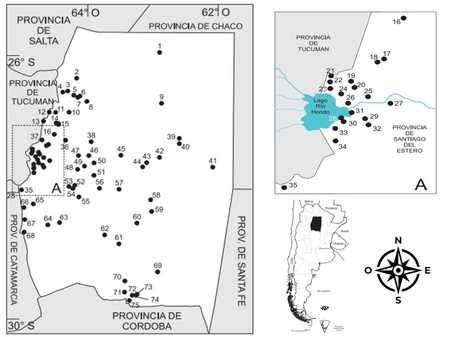 Manifestaciones geotermales. Santiago del Estero - Argentina