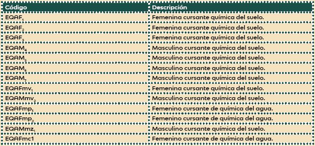 Codificaci&oacute;n de Informantes Claves