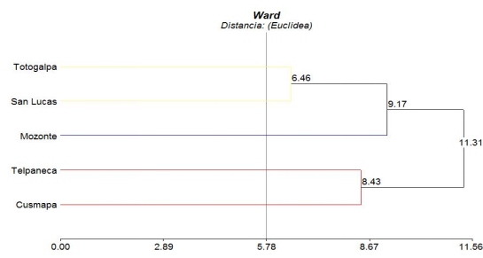 Dendograma de las familias