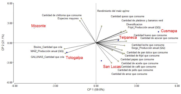 An&aacute;lisis de los componentes principales