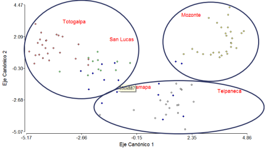 Representaci&oacute;n de observaciones multivariadas en tres grupos