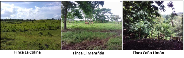 Estado agroecol&oacute;gico de las fincas estudiadas