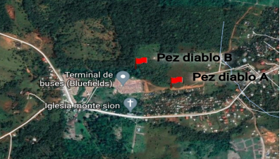 Mapa de áreas de captura de los ejemplares