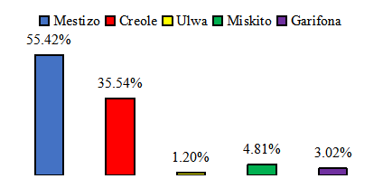 Distribuci&oacute;n por etnia de los trabajadores de BICU