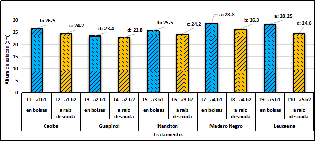 Representaci&oacute;n de figura del crecimiento dasom&eacute;trico en alturas