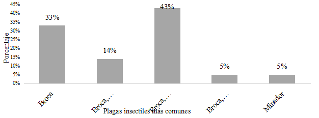 Plagas insectiles más comunes
