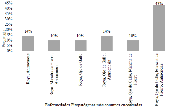 Distribución territorial de los productores en estudio